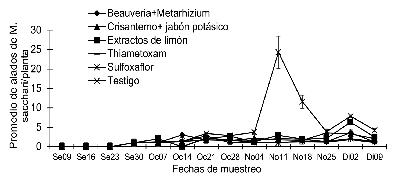 Fluctuación poblacional de adultos alados M. sacchari, en los tratamientos evaluados, de septiembre a
diciembre, Nindirí, Masaya, 2018